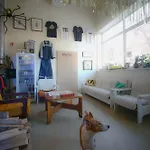 Micro Art & Party Event Venue *